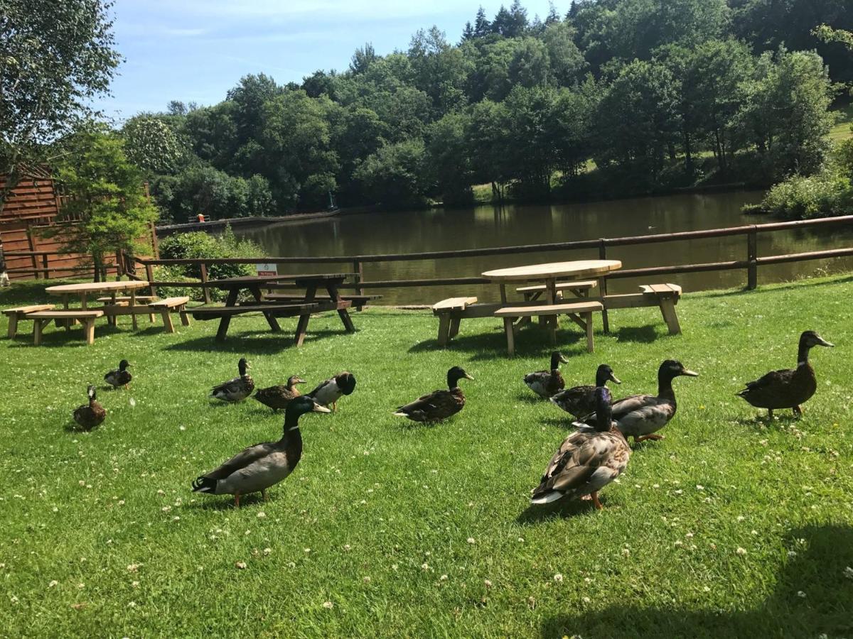 Chudleigh Conkers Lodge For 6 With Hot Tub & Secluded Decking - Spa Resort In Devon מראה חיצוני תמונה
