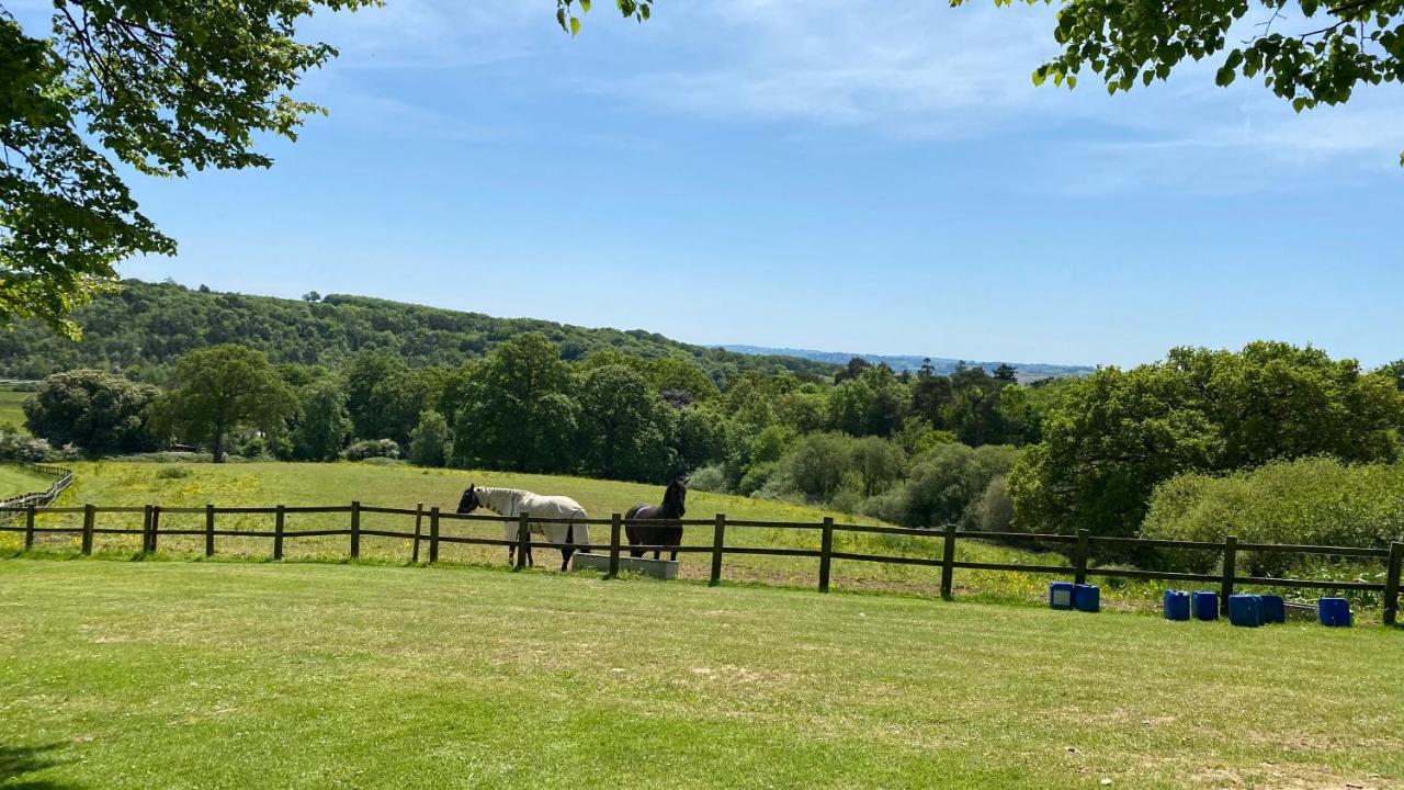 Chudleigh Conkers Lodge For 6 With Hot Tub & Secluded Decking - Spa Resort In Devon מראה חיצוני תמונה